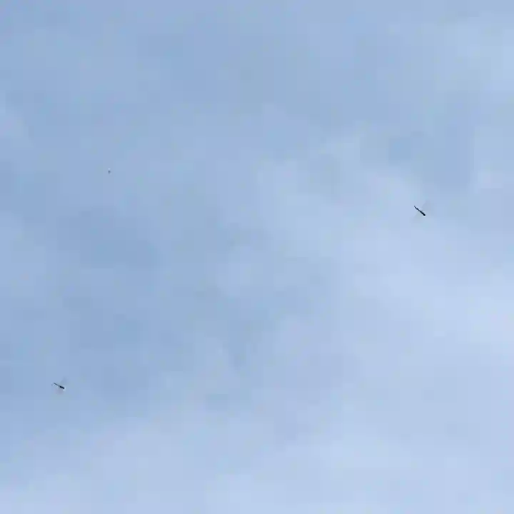 伊勢の国 四天王寺(三重県)