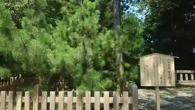 伊豆山神社(静岡県)