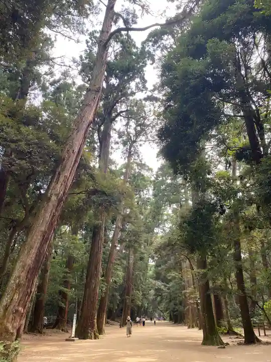 鹿島神宮の周辺