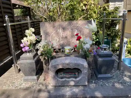 光照寺(神奈川県)