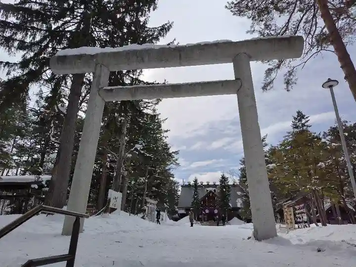上川神社の鳥居