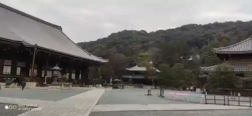 知恩院の本殿・本堂