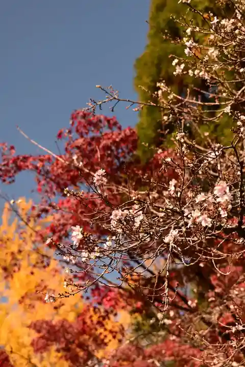 赤山禅院(京都府)