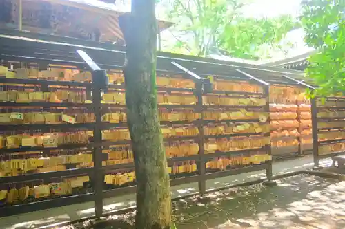 川越氷川神社(埼玉県)