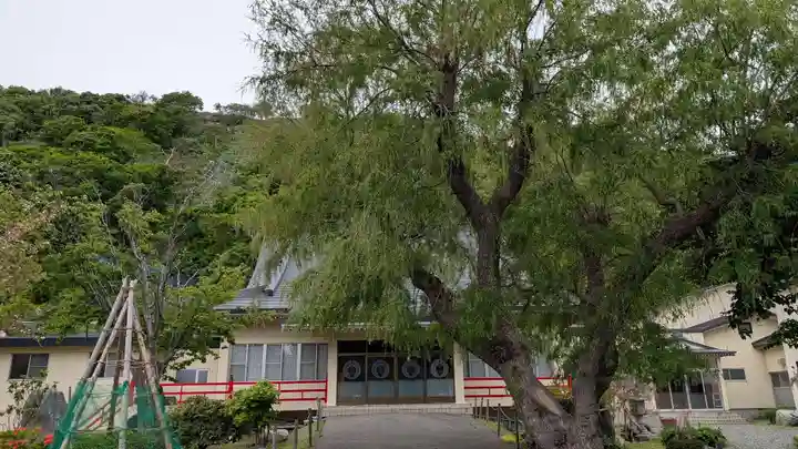 法雲寺(北海道)