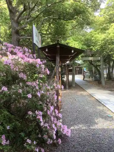 田縣神社の自然