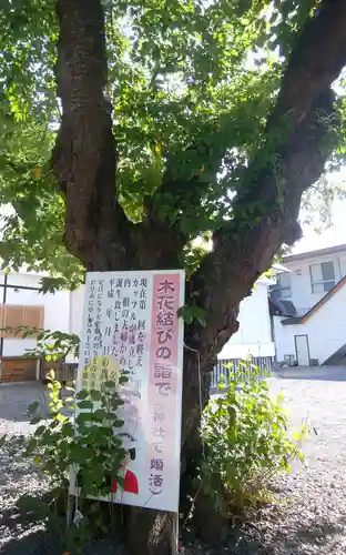 三嶋神社の自然