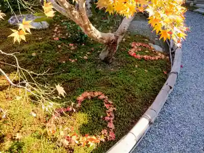 二尊院(京都府)