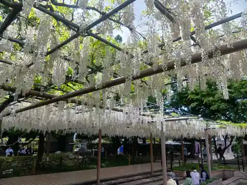 曼陀羅寺(愛知県)