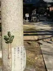 磯部稲村神社(茨城県)