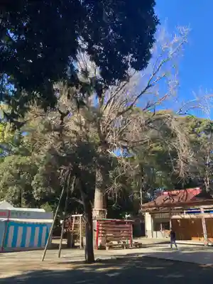 平塚八幡宮(神奈川県)