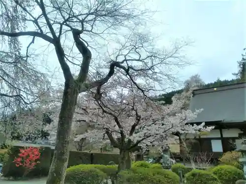 大公寺の庭園