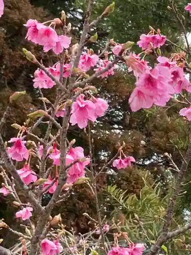 榎原神社の自然