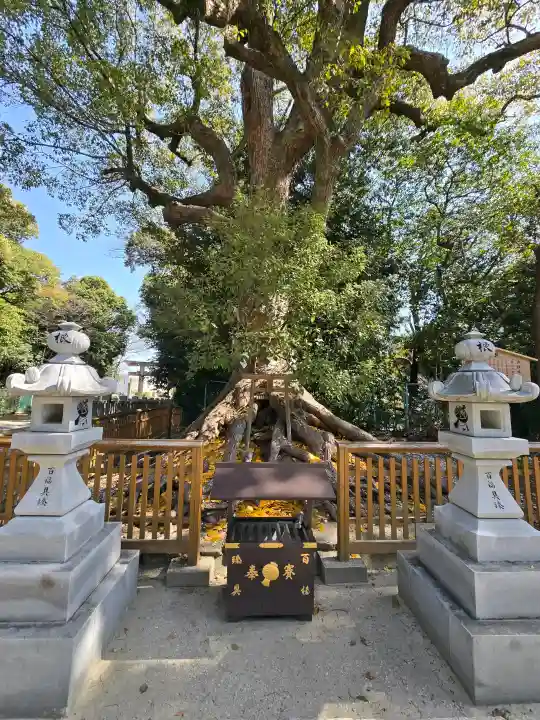 和泉國一之宮 大鳥大社の{uncategorized: "未分類", other: "その他", undefined: "問題あり", building: "その他建物", grave: "お墓", sacred_gate: "鳥居", guardian: "狛犬", statue: "像", buddha: "仏像", history: "歴史", nature: "自然", garden: "庭園", animal: "動物", pagoda: "塔", temizu: "手水舎", mountain_gate: "山門・神門", sanctuary: "本殿・本堂", subordinate: "末社・摂社", art: "芸術", scenery: "景色", jizo: "地蔵", ema: "絵馬", goshuin: "御朱印", omikuji: "おみくじ", items: "授与品その他", amulet: "お守り", goshuincho: "御朱印帳", eats: "食事", festival: "お祭り", votive_dance: "神楽", shichigosan: "七五三参", wedding: "結婚式", experience: "体験その他", initially: "初詣", around: "周辺", anti_infection: "感染症対策"}