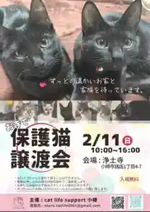 極楽山 浄土寺(北海道)(2024年01月20日(土) 23時50分06秒投稿)