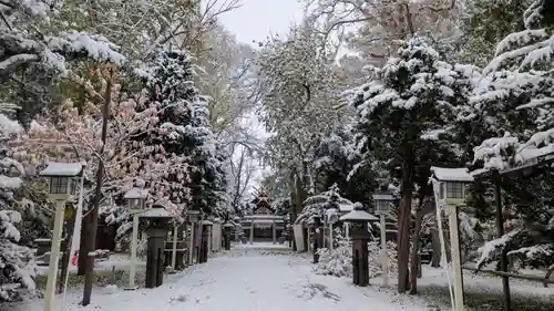新琴似神社(北海道)