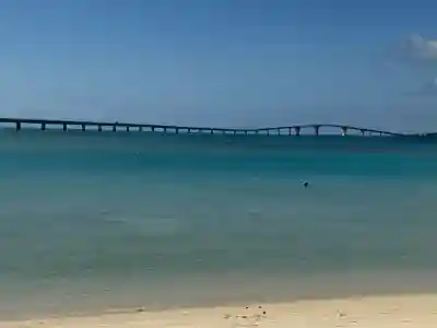 赤名宮の{uncategorized: "未分類", other: "その他", undefined: "問題あり", building: "その他建物", grave: "お墓", sacred_gate: "鳥居", guardian: "狛犬", statue: "像", buddha: "仏像", history: "歴史", nature: "自然", garden: "庭園", animal: "動物", pagoda: "塔", temizu: "手水舎", mountain_gate: "山門・神門", sanctuary: "本殿・本堂", subordinate: "末社・摂社", art: "芸術", scenery: "景色", jizo: "地蔵", ema: "絵馬", goshuin: "御朱印", omikuji: "おみくじ", items: "授与品その他", amulet: "お守り", goshuincho: "御朱印帳", eats: "食事", festival: "お祭り", votive_dance: "神楽", shichigosan: "七五三参", wedding: "結婚式", experience: "体験その他", initially: "初詣", around: "周辺", anti_infection: "感染症対策"}