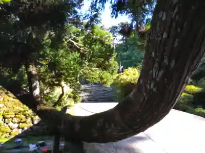 日吉大社(滋賀県)