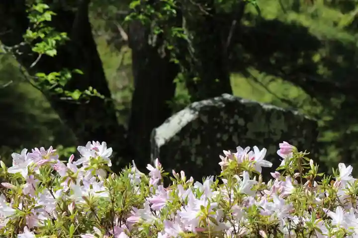国宝 大法寺の自然