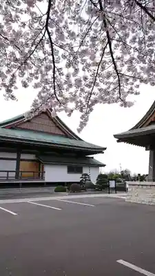 政淳寺の本殿・本堂