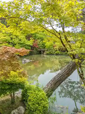 禅林寺(永観堂)の自然