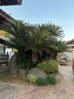 光明寺(千葉県)