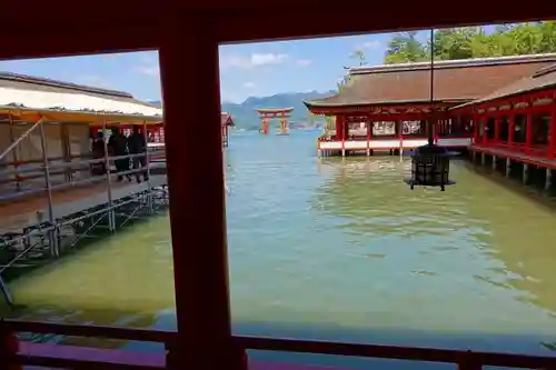 厳島神社の庭園