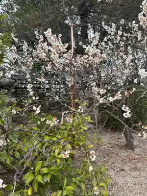 玉井宮東照宮(岡山県)