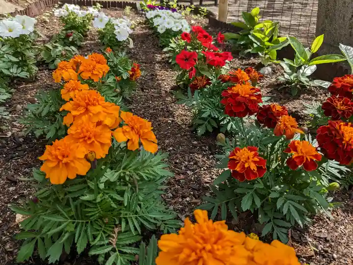二柱神社(宮城県)