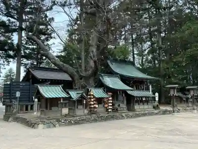 穂高神社本宮(長野県)
