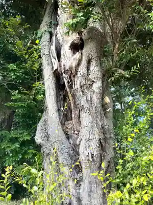 鷲宮神社(茨城県)