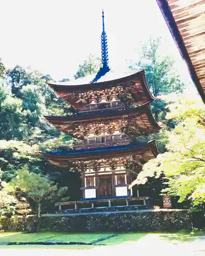 西明寺の建物その他