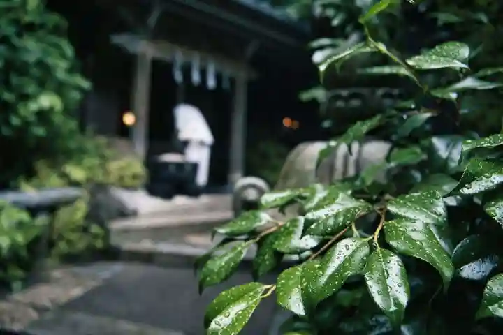 銭洗弁財天宇賀福神社(神奈川県)