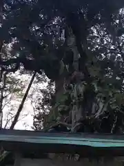 毛津神社の建物その他