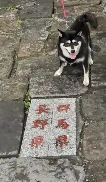 熊野皇大神社の{uncategorized: "未分類", other: "その他", undefined: "問題あり", building: "その他建物", grave: "お墓", sacred_gate: "鳥居", guardian: "狛犬", statue: "像", buddha: "仏像", history: "歴史", nature: "自然", garden: "庭園", animal: "動物", pagoda: "塔", temizu: "手水舎", mountain_gate: "山門・神門", sanctuary: "本殿・本堂", subordinate: "末社・摂社", art: "芸術", scenery: "景色", jizo: "地蔵", ema: "絵馬", goshuin: "御朱印", omikuji: "おみくじ", items: "授与品その他", amulet: "お守り", goshuincho: "御朱印帳", eats: "食事", festival: "お祭り", votive_dance: "神楽", shichigosan: "七五三参", wedding: "結婚式", experience: "体験その他", initially: "初詣", around: "周辺", anti_infection: "感染症対策"}