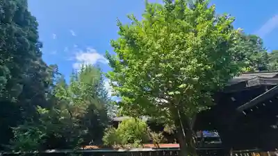 甲斐國一宮 浅間神社(山梨県)