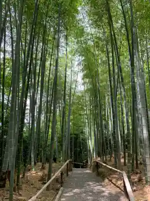 高台寺（高台寿聖禅寺・高臺寺）の周辺