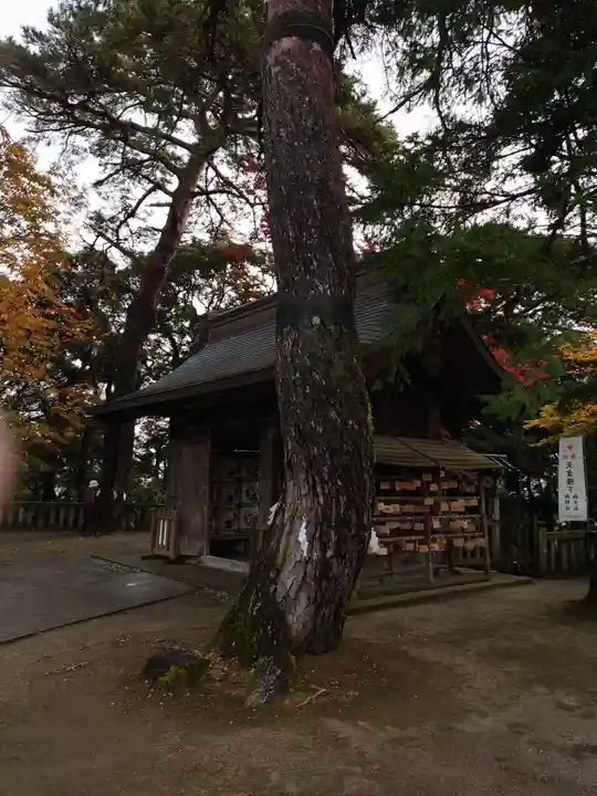 唐澤山神社の自然