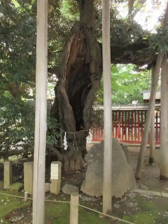 金王八幡宮のその他建物