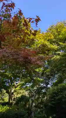 浄瑠璃寺(京都府)