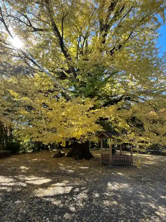 大山寺(徳島県)
