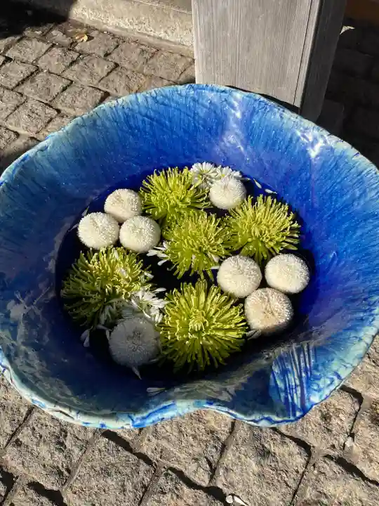 川越八幡宮(埼玉県)