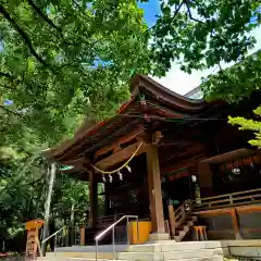 浜松八幡宮の本殿