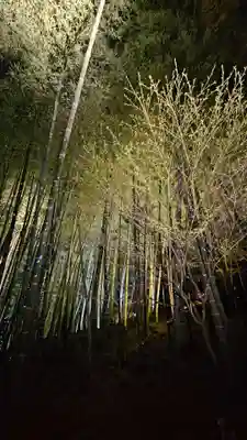 高台寺（高台寿聖禅寺・高臺寺）(京都府)