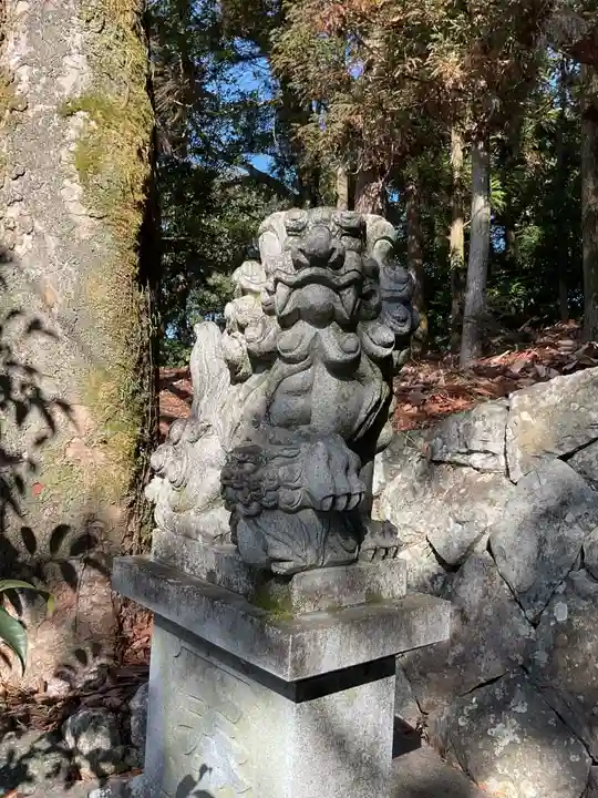 高田神社の狛犬