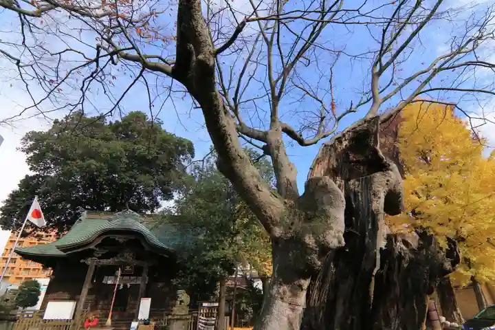 阿邪訶根神社の景色