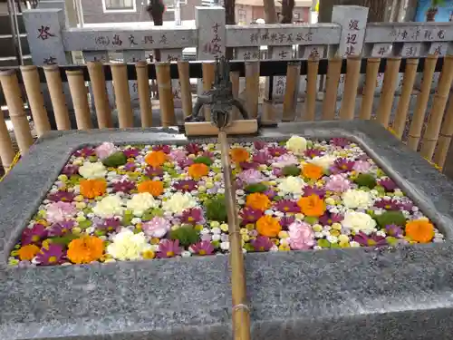 高円寺氷川神社(東京都)