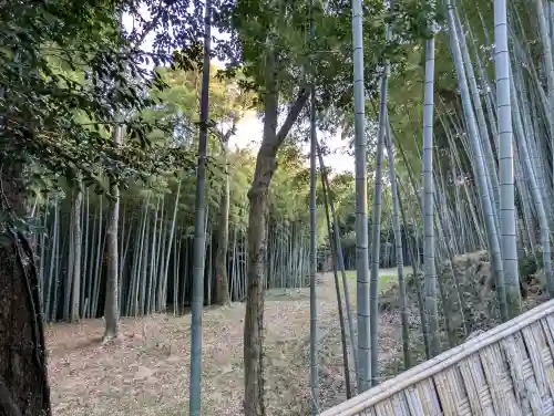 石清水八幡宮の{uncategorized: "未分類", other: "その他", undefined: "問題あり", building: "その他建物", grave: "お墓", sacred_gate: "鳥居", guardian: "狛犬", statue: "像", buddha: "仏像", history: "歴史", nature: "自然", garden: "庭園", animal: "動物", pagoda: "塔", temizu: "手水舎", mountain_gate: "山門・神門", sanctuary: "本殿・本堂", subordinate: "末社・摂社", art: "芸術", scenery: "景色", jizo: "地蔵", ema: "絵馬", goshuin: "御朱印", omikuji: "おみくじ", items: "授与品その他", amulet: "お守り", goshuincho: "御朱印帳", eats: "食事", festival: "お祭り", votive_dance: "神楽", shichigosan: "七五三参", wedding: "結婚式", experience: "体験その他", initially: "初詣", around: "周辺", anti_infection: "感染症対策"}