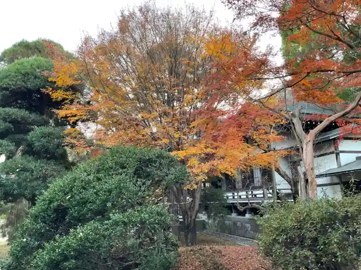 東漸寺(千葉県)