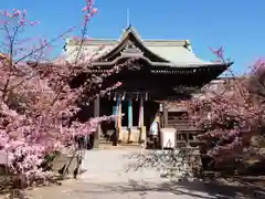 桜神宮の本殿